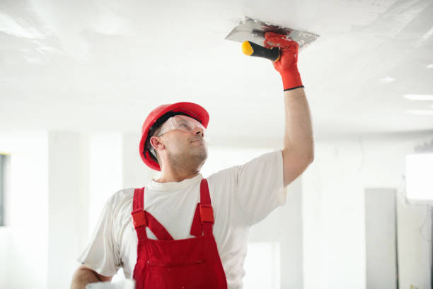 Best Basement Mold Removal  in Nassau Village Ratliff, FL