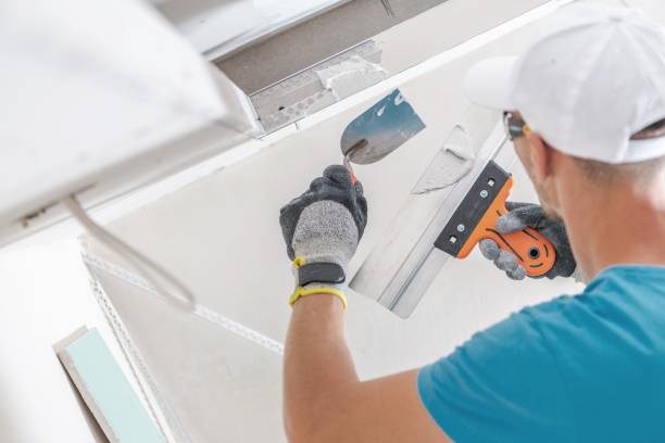 Environmental Consulting for Mold Prevention in Nassau Village Ratliff, FL